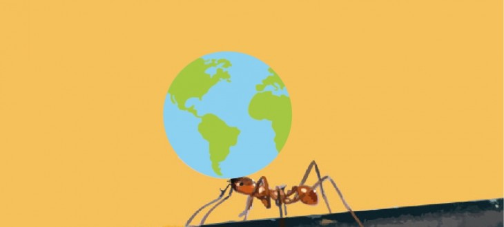 Will insects save the planet?